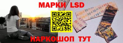 прущие грибы Малоярославец