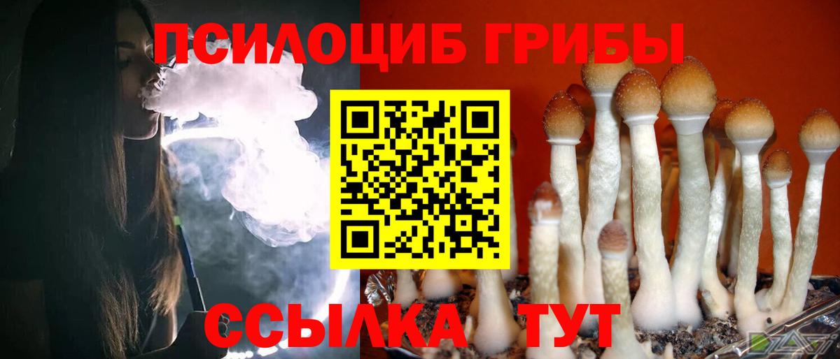 Галлюциногенные грибы мухоморы  Вход с VPN  магазин  наркотиков  Знаменск  Псилоцибиновые грибы Magic Shrooms 